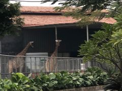 -灵玲国际马戏城
