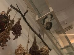-娜娜家•Nana’Garden (福州道店)