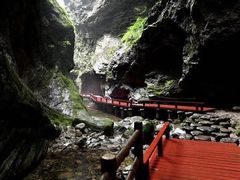 -牛背梁国家森林公园