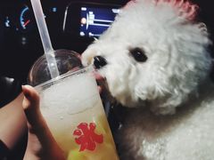 -陈记栗子(长宁路店)