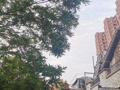 -维苏唯披萨(青云街店)