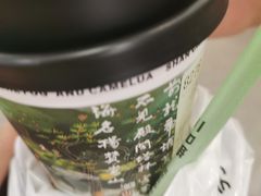 -雾与山茶(大禹城店)