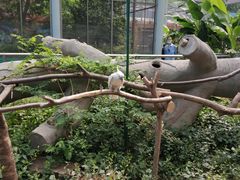 -无锡动物园·太湖欢乐园