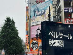 -秋叶原电器街