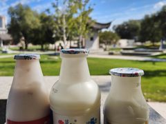 -东北农业大学饺子园