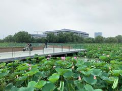 -东南大学(九龙湖校区)