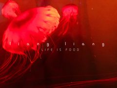 -华夏文旅西安度假区