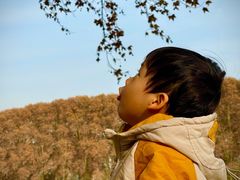 -河南省黄河迎宾馆