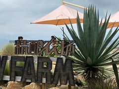 -Brew Farm·精酿农场海滨悬崖餐厅