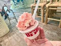 西瓜芝士-红楼HONGLOU Gelato(淮海中路店)
