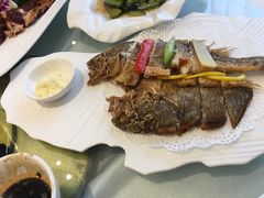 -骏莱海鲜鱼港(五角场店)