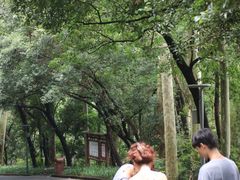 -白云山风景名胜区