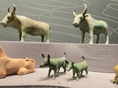 -广西壮族自治区博物馆