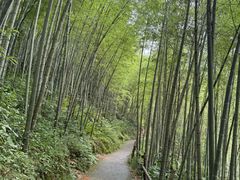 -千泷沟大瀑布旅游区