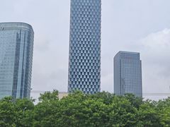 -大望京公园