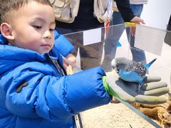 -怪兽屋·羊驼·猫咖·狗咖(俊华广场店)