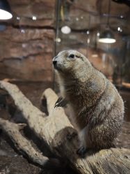 -Zoolung Zoolung动物主题公园(海信广场店)