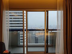 -新加坡瑞士史丹福酒店