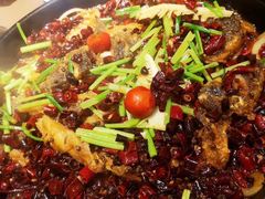 -老板恋上鱼(恒隆广场店)