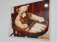 -济州岛泰迪熊博物馆