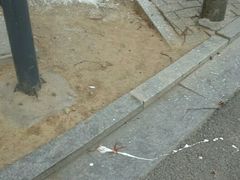 -大众海鲜(巨龙北路店)