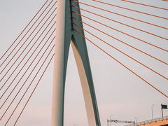 -味子夫鸡柳(解放碑总店)