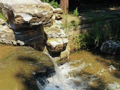-白水寺森林公园
