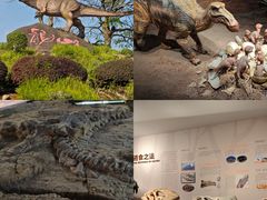-自贡恐龙博物馆