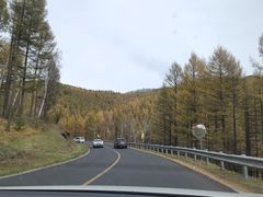 -塞罕坝国家级自然保护区