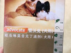 -瑞派宠物医院·中兽医专科(中央商城分院)