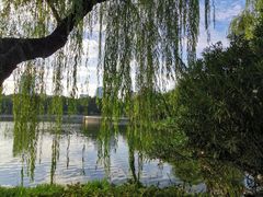 -后襄河公园
