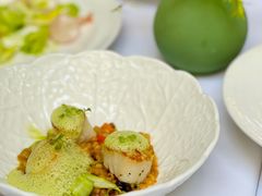 -蝶舍·MAISON PAPILLON