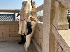 -径山寺