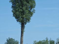 -汉长安城未央宫国家考古遗址公园