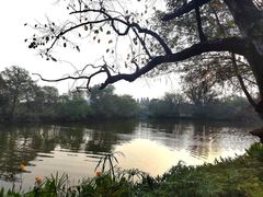 -新荣记(西溪湿地店)