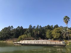 -南国桃园旅游度假区