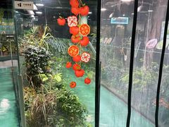 -上海大自然野生昆虫馆(东方明珠·爬宠昆虫探索中心)