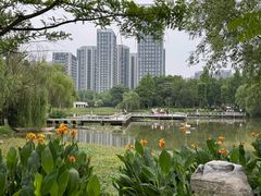 -洋湖国家湿地公园