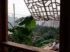 -悟饮门市景店