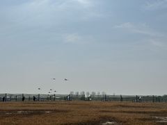 -盐城丹顶鹤湿地生态旅游区