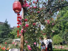 -南山植物园