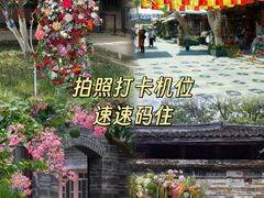 -安仁古镇