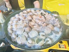 大白贝-水哥卜卜贝(东晓·胜汇里店)