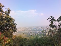 -杭州半山国家森林公园