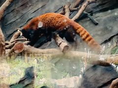 -武汉动物园
