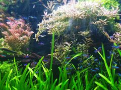 -上海海洋水族馆