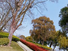-上海月湖雕塑公园