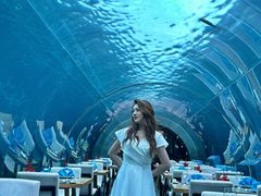 -涛·海底餐厅·美人鱼·自助餐·海底隧道(三亚海棠湾洲际度假酒店)