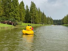 -黄海国家森林公园