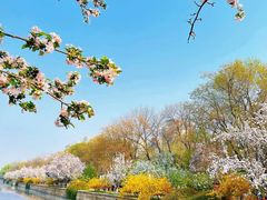 -海棠花溪(元大都城垣遗址公园)